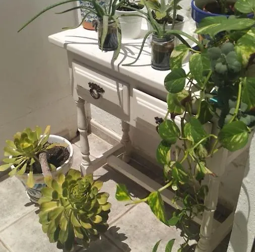 Pino's Apartamento Costa Del Silencio